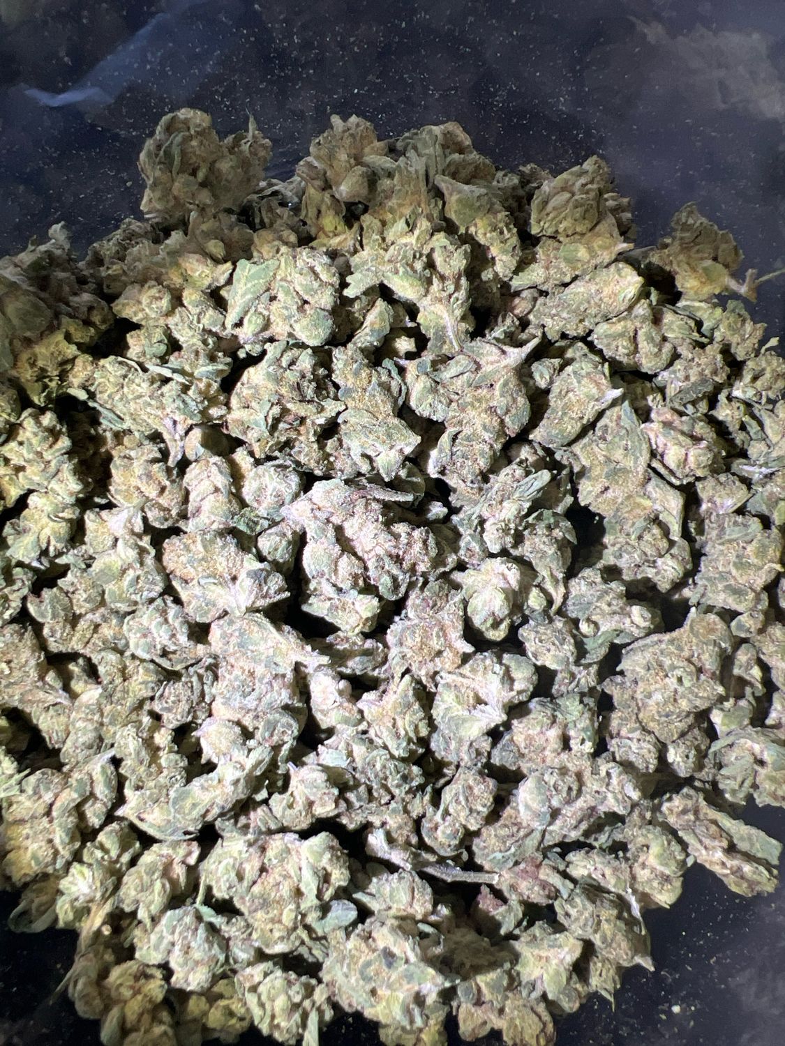 SILVER | Donkey Butter | I/H