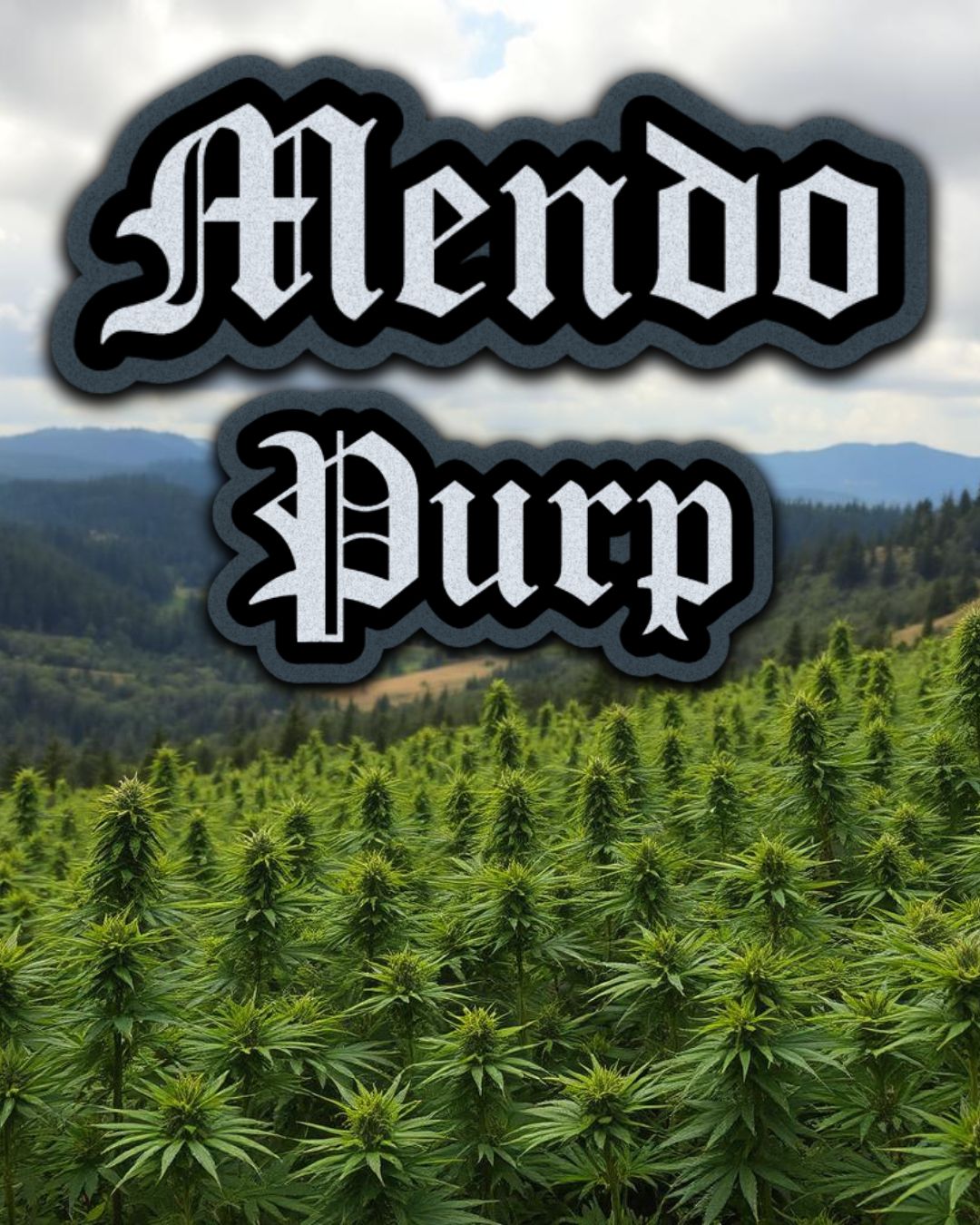 Silver | Mendo Purp | I/H | 20%