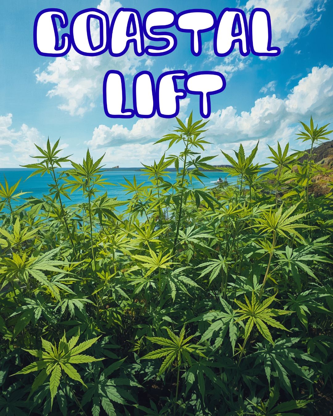 CONCENTRATES | 2g Live Resin Sugar | Coastal Lift | S/H