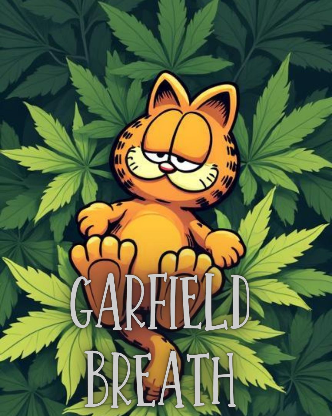 SILVER | Garfield Breath | Indica | 21%