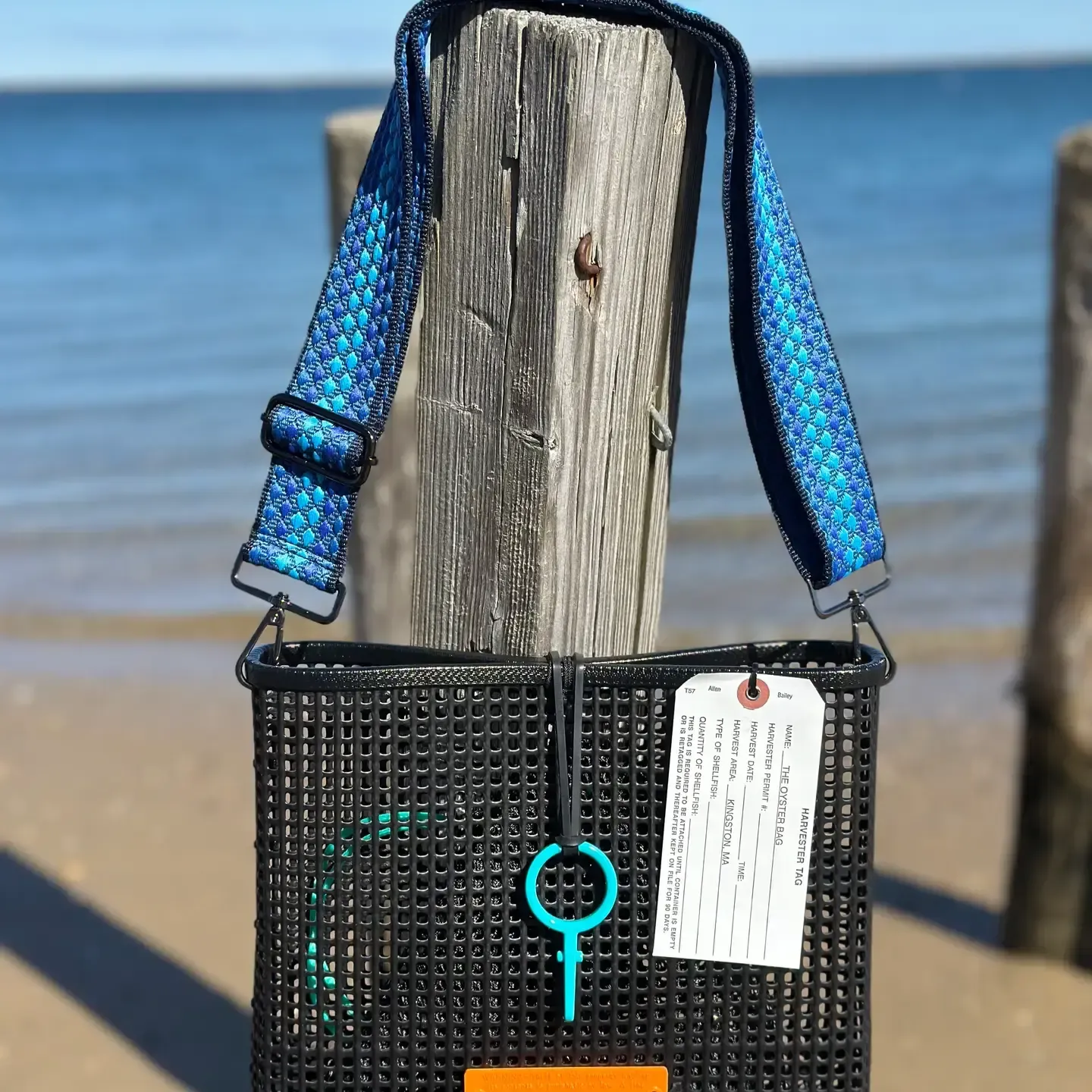 The Oyster Bag Crossbody