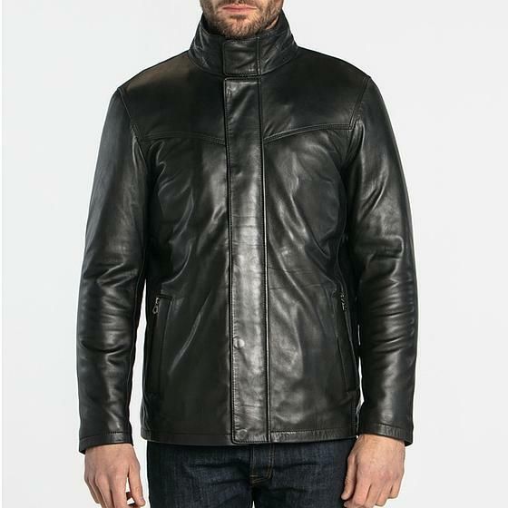 Veste cuir Darwin
