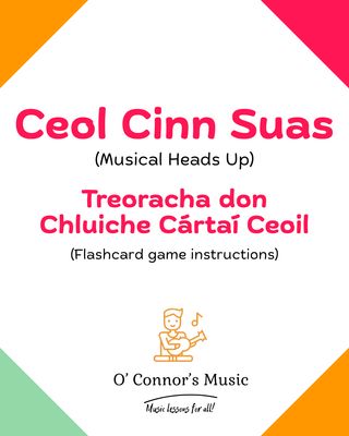 Flashcard Game: Irish Version