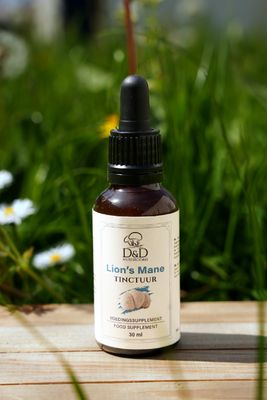 Lion’s Mane Tinctuur (Vloeibaar Extract)