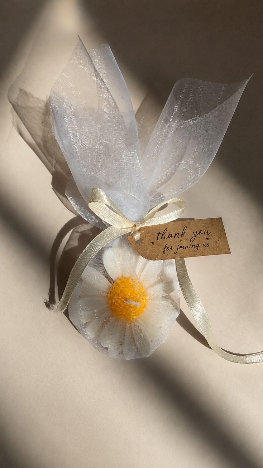 DAISY CANDLES (Floating) : 20 Candles