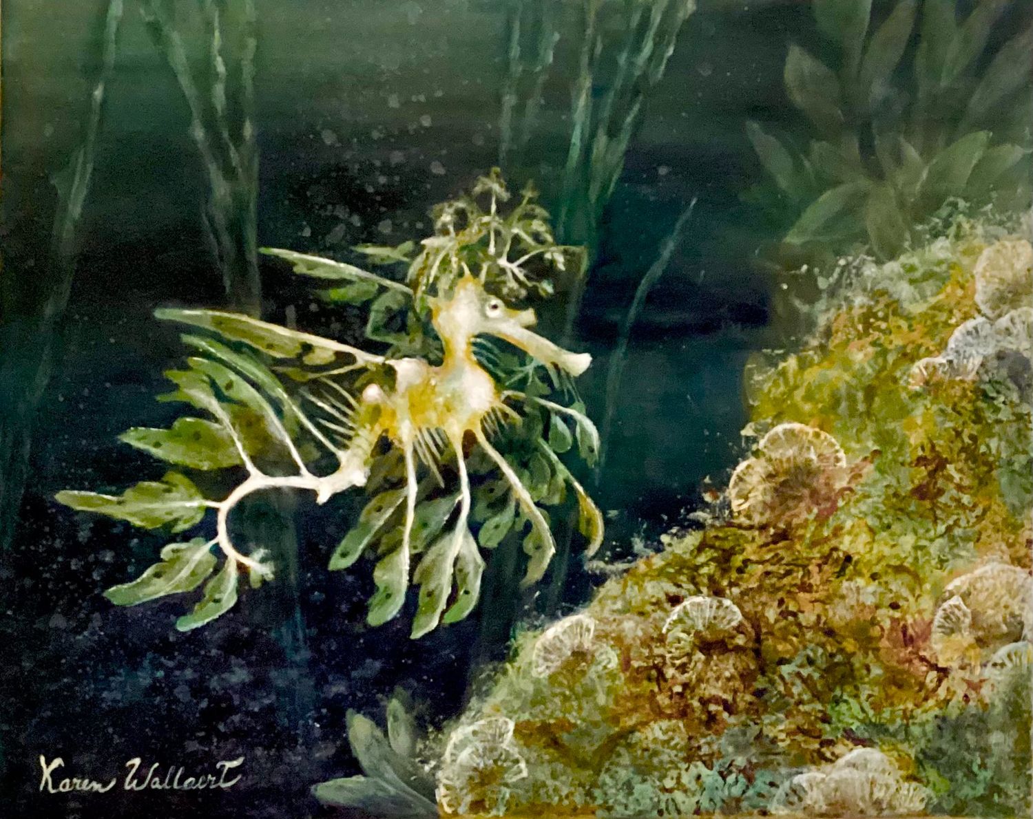 Veil of the Kelp Veil of the Kelp