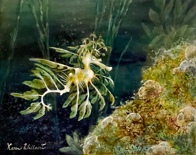 Veil of the Kelp  |  Size 16x20