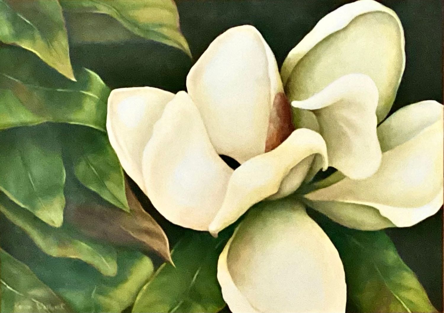 Ivory Grace Ivory Grace