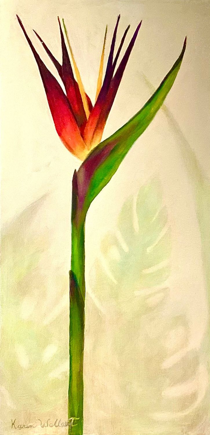 Tropic Crown Tropic Crown