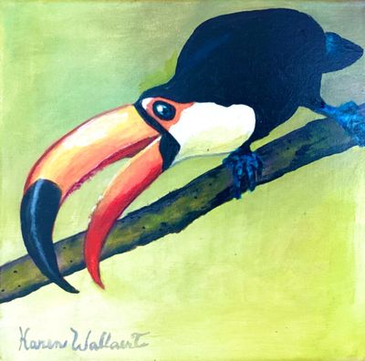 Toucans