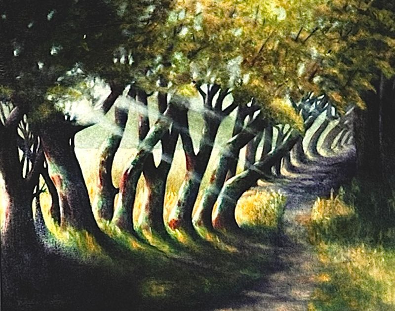 Shadowtrail Canopy  |  size 16x20