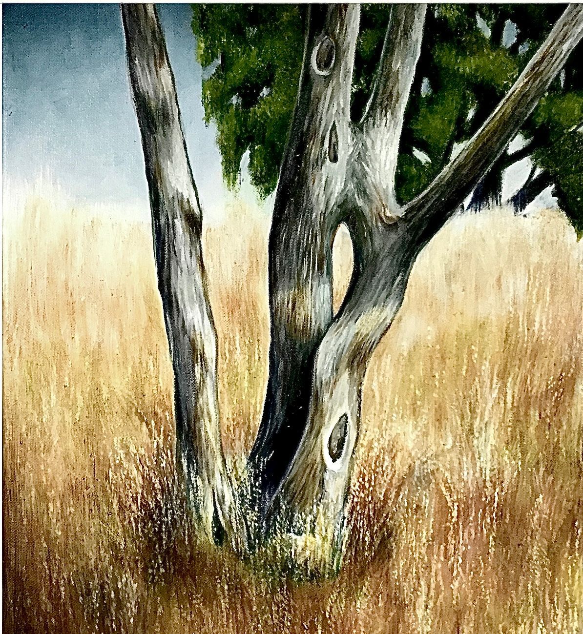 Twinrise Drift Twinrise Drift