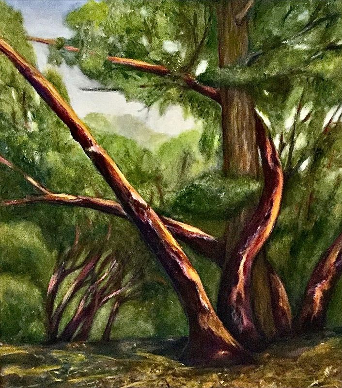 Curvewood Grove  |  size 16x20