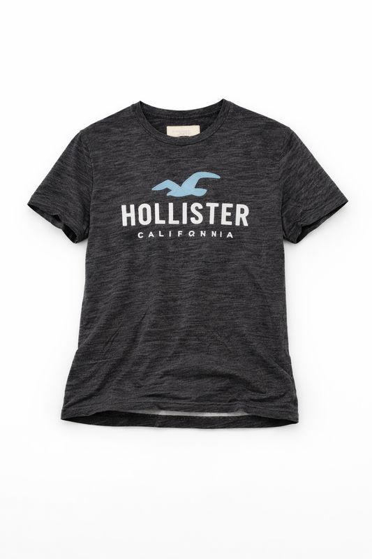 ​T-shirt HOLLISTER – Taille S (Homme)