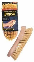 Scrub Brush Stiff Palm