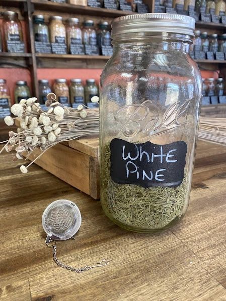 White Pine Needle Tea* 2oz