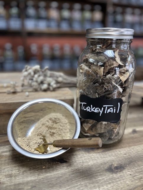 Turkey Tail Mushroom - Powder - 1oz