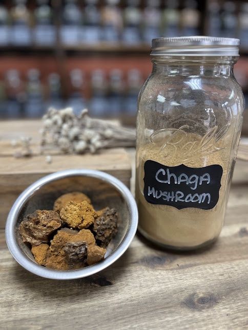 Chaga Mushroom - Cut and Sifted - 1oz