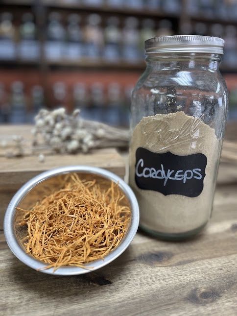 Cordyceps - Powder - 1oz