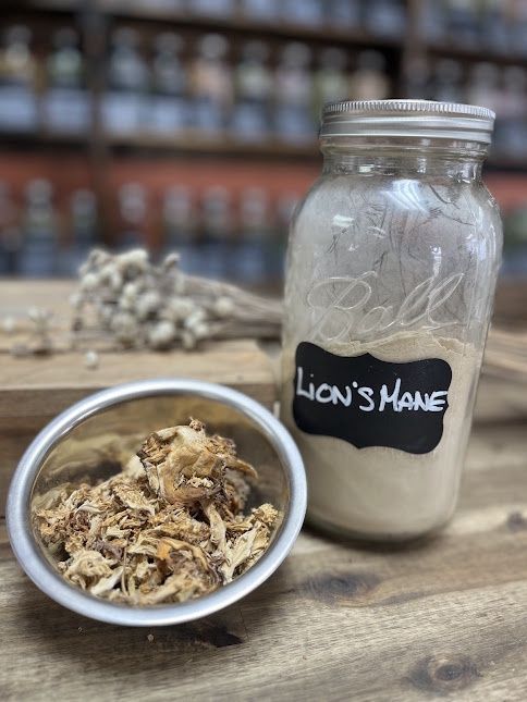 Lion's Mane Mushroom - Powder - 1oz