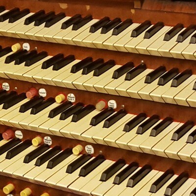 Organ Scores