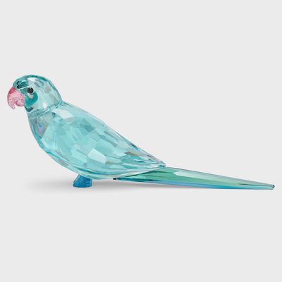 Jungle Beats Blue Parakeet Paco 5574519
