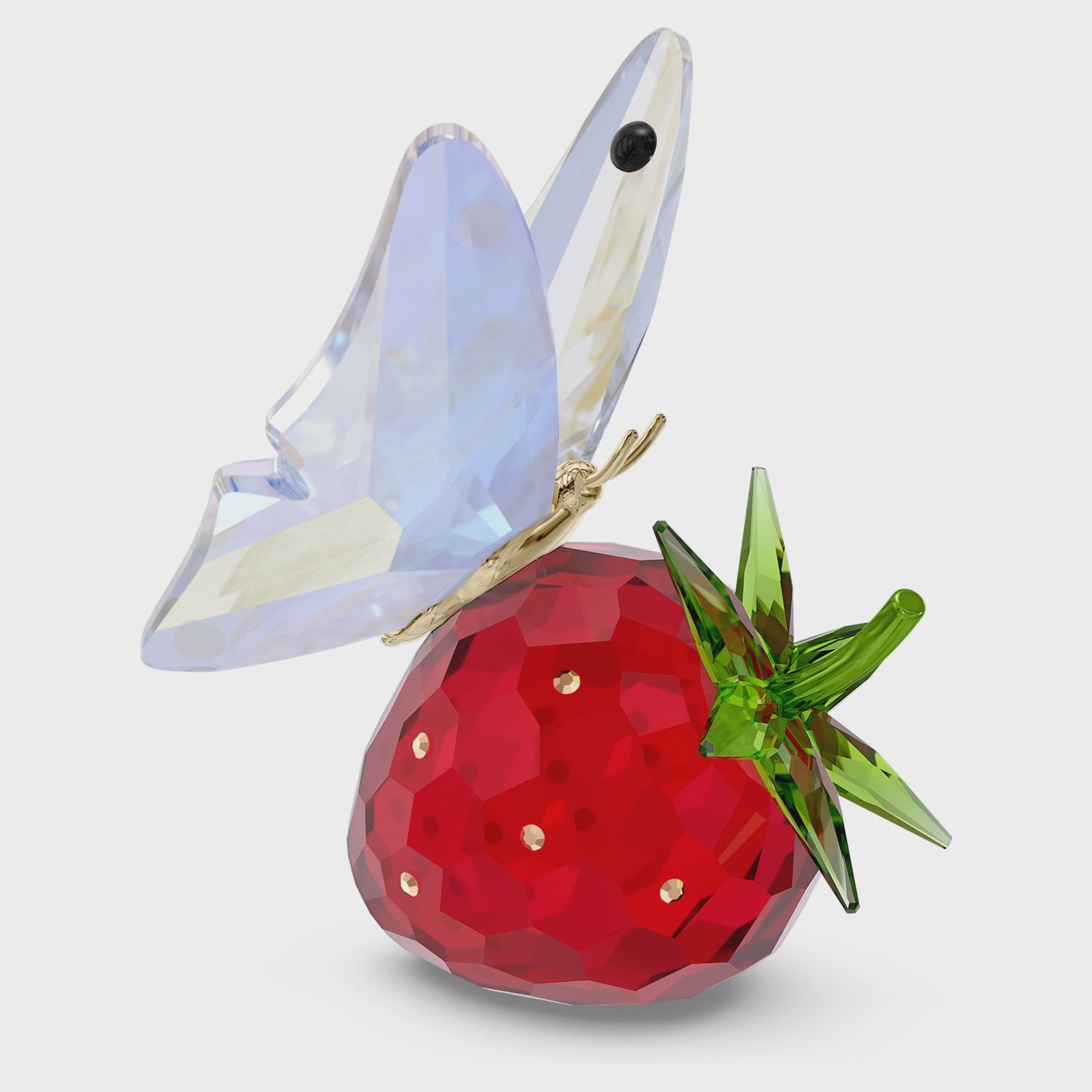 Idyllia Butterfly and Strawberry 5666846