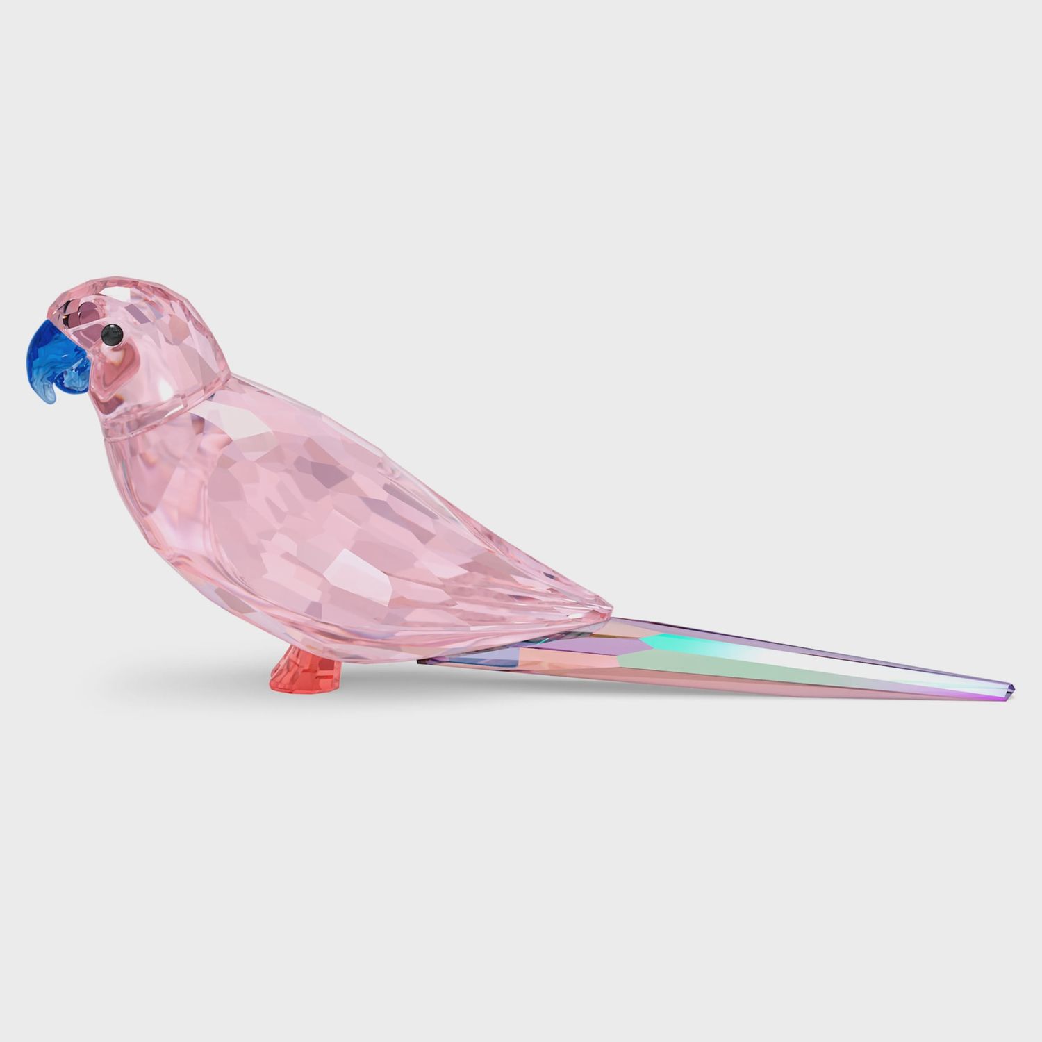JUNGLE BEATS:PINK PARAKEET 5557848