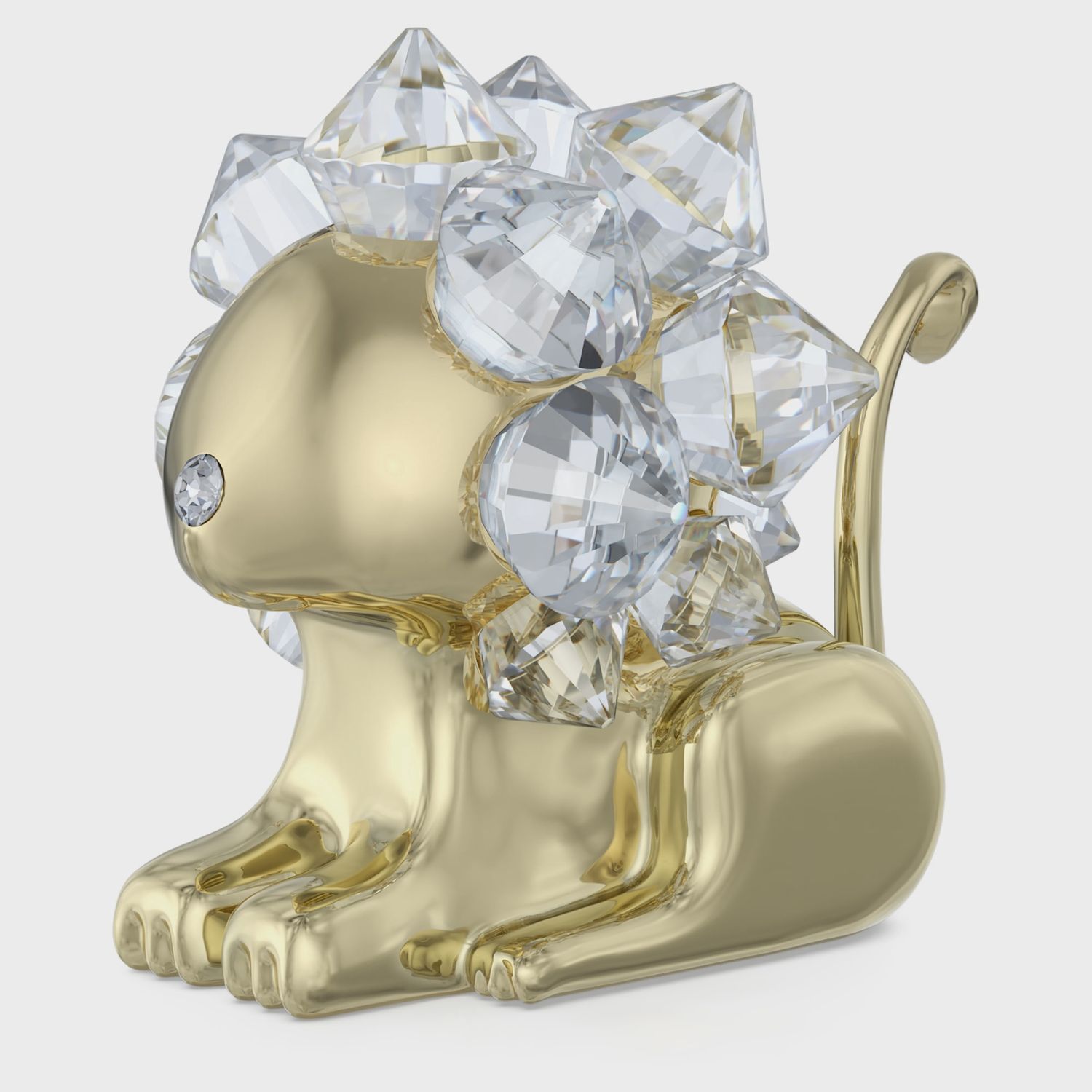 Zodiac: Leo  5678073