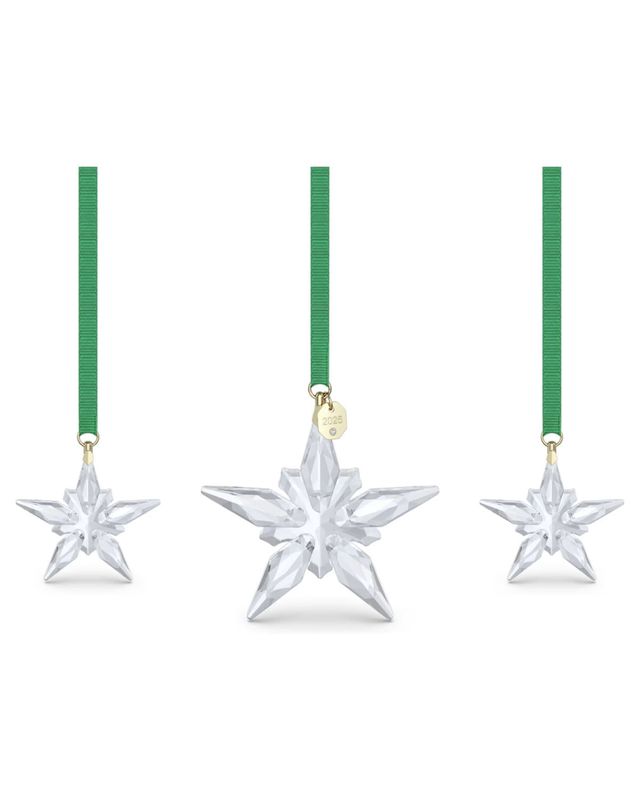 ANNUAL EDITION:ORNAMENT SET 2025 5701854