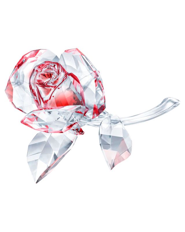 BLOSSOMING ROSE, RED 5428561