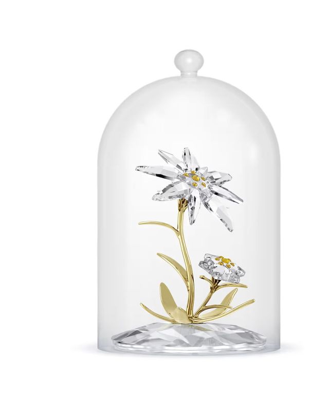 FLORERE:BELL JAR 130TH ANNIVERSARY 5701376