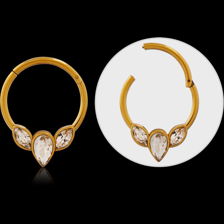 Gold PVD coated surgical steel jewelled hinged segment ring