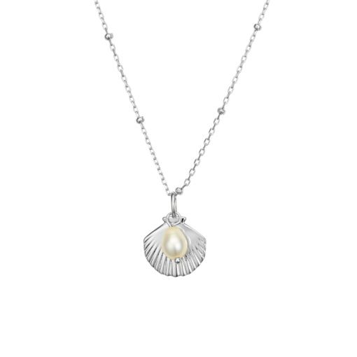 Sterling silver shell pendant &amp; freshwater pearl Necklace