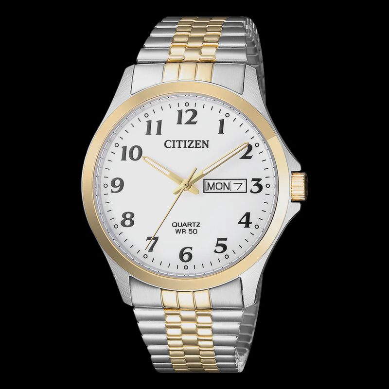 Citizen Gnts Brlt SSTT WR50 BF5004-93A