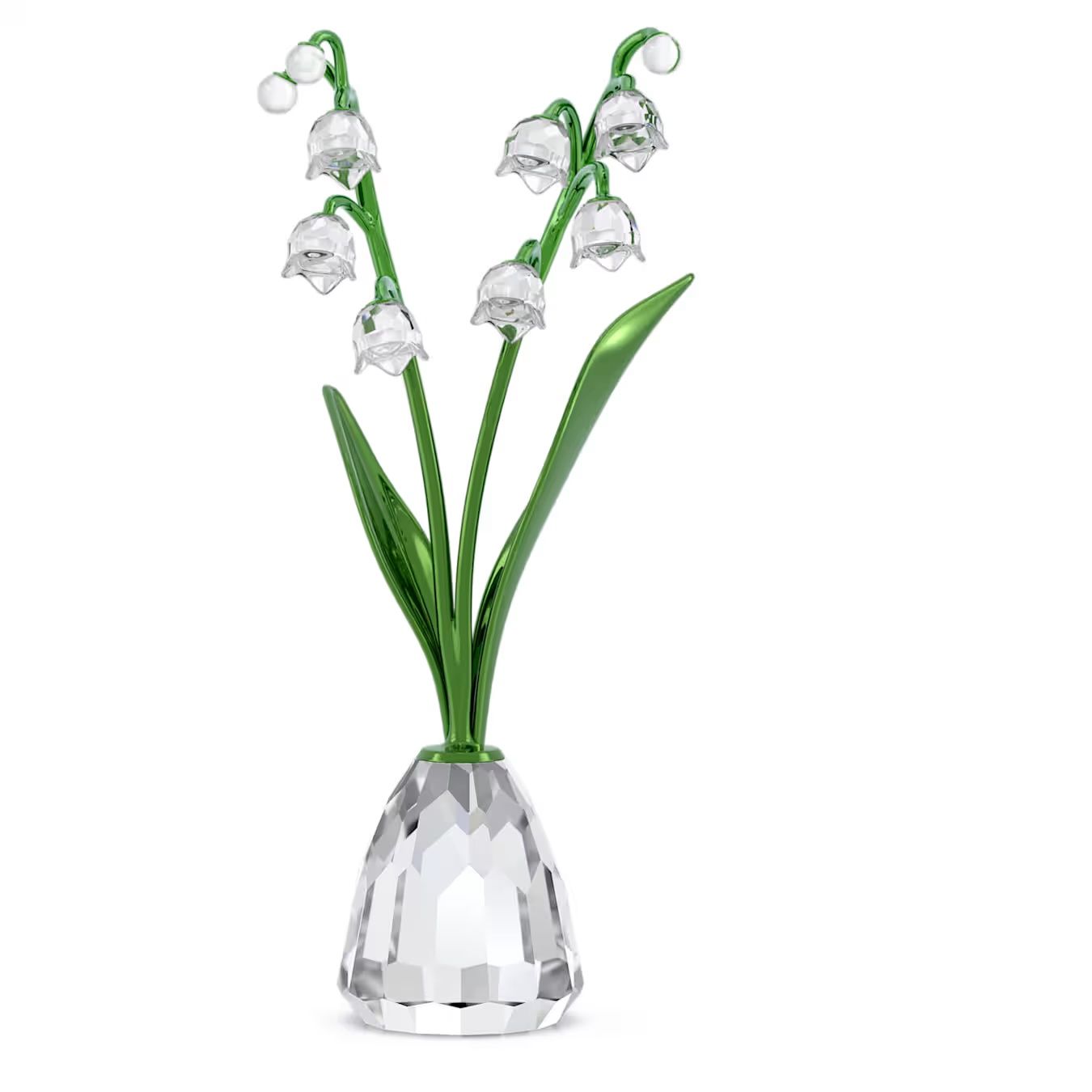 Florere Lily of the Valley 5721541