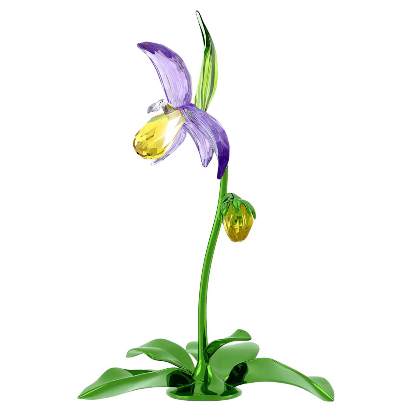 Florere Lady Slipper Orchid 5721548