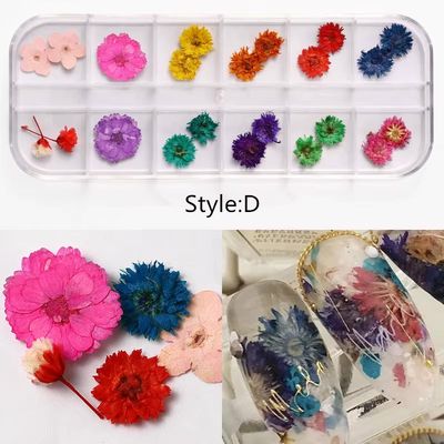Dried Flower Nail Art Decoration Set – Style D Dried Flower Nail Art Decoration Set – Style D