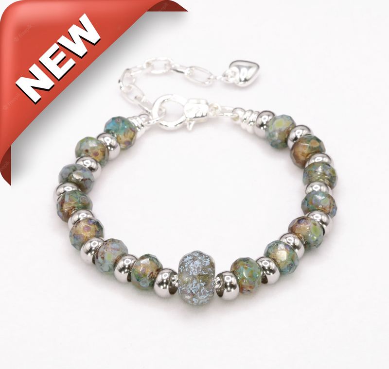 European Charm Bracelet -  Follow Your Passion (#1208)