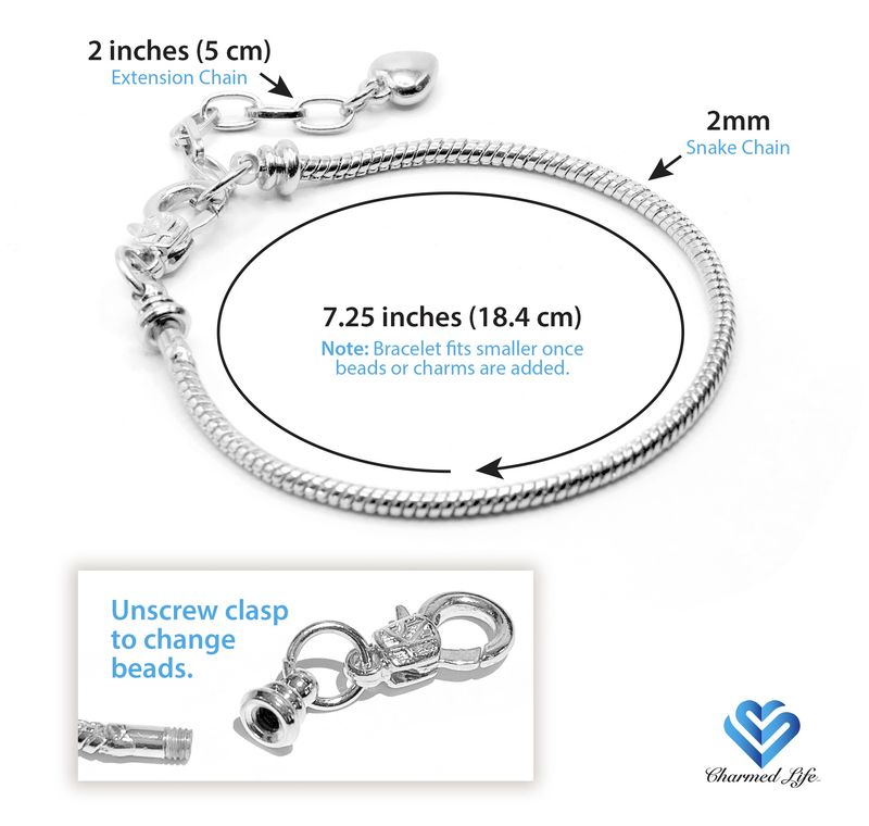 European Charm Bracelet - Wild Abandon (#1016)