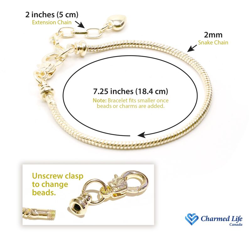 European Charm Bracelet - Rebel Chick (0807)