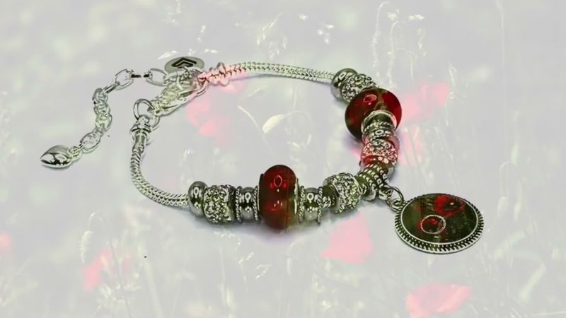 #1267_Charmed-Life-Canada_Fallen_Soldier