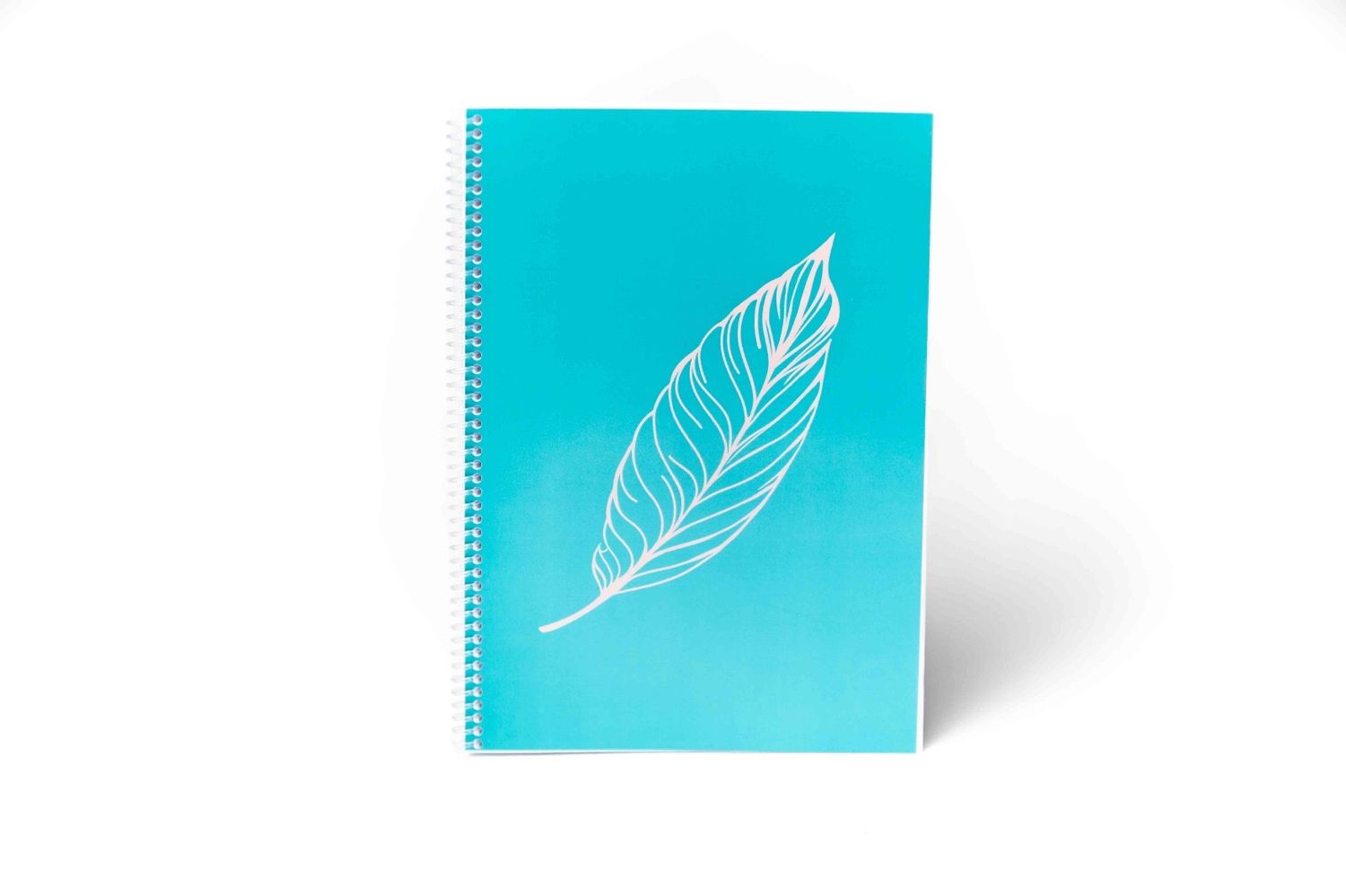 Unleashing Your Potential - A Year of Purposeful Planning Unleashing Your Potential - A Year of Purposeful Planning