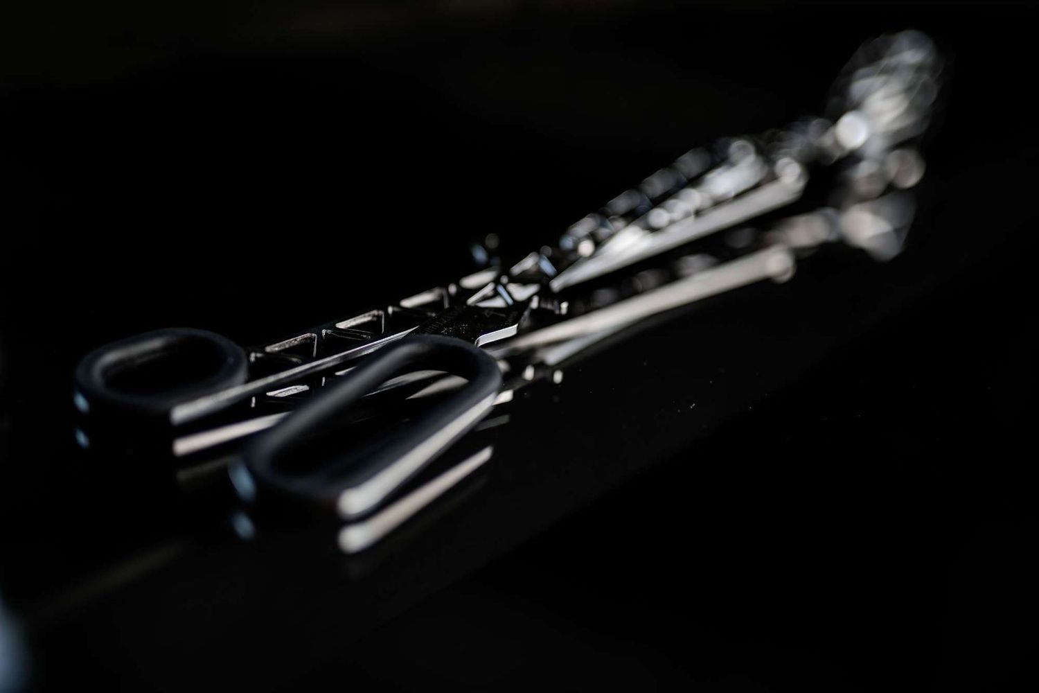 swiss-Grillzange 8XX