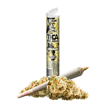 Lemonade | 1g Pre Roll