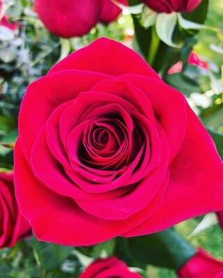 Triple Dozen Rose Vase by Twigs Floral Design