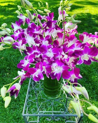 Orchid Love by Twigs Floral Design