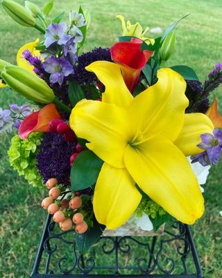 Birch Burst by Twigs Floral Design