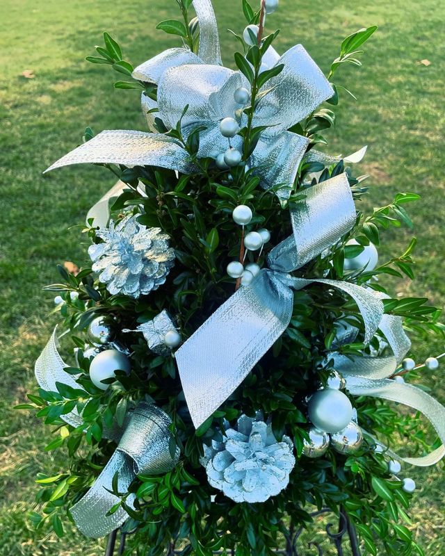 Silver Boxwood Tree by Twigs Floral Design