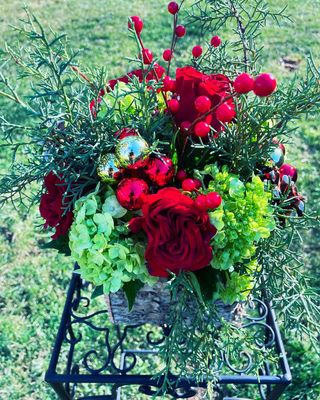 Comet&#39;s Gift by Twigs Floral Design